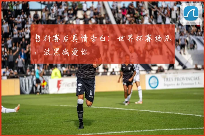 哲科赛后真情告白:世界杯赛场见,波黑我爱你
