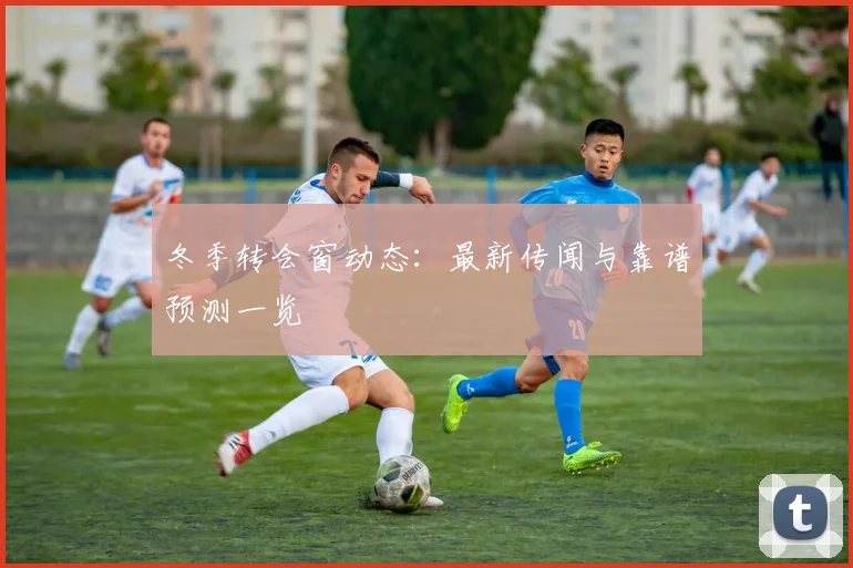 冬季转会窗动态：最新传闻与靠谱预测一览